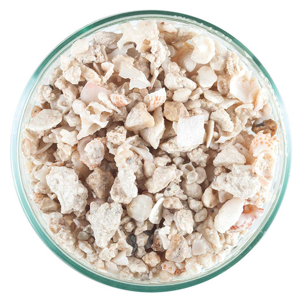 Florida Crushed Coral M199871