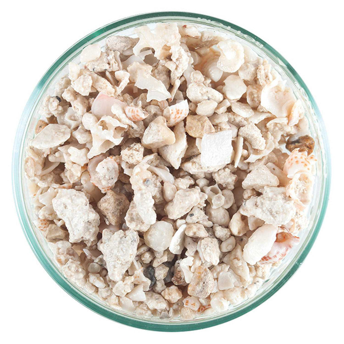 Florida Crushed Coral M199871