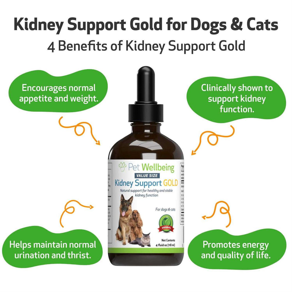 Kidney Support Gold for Dogs S22025