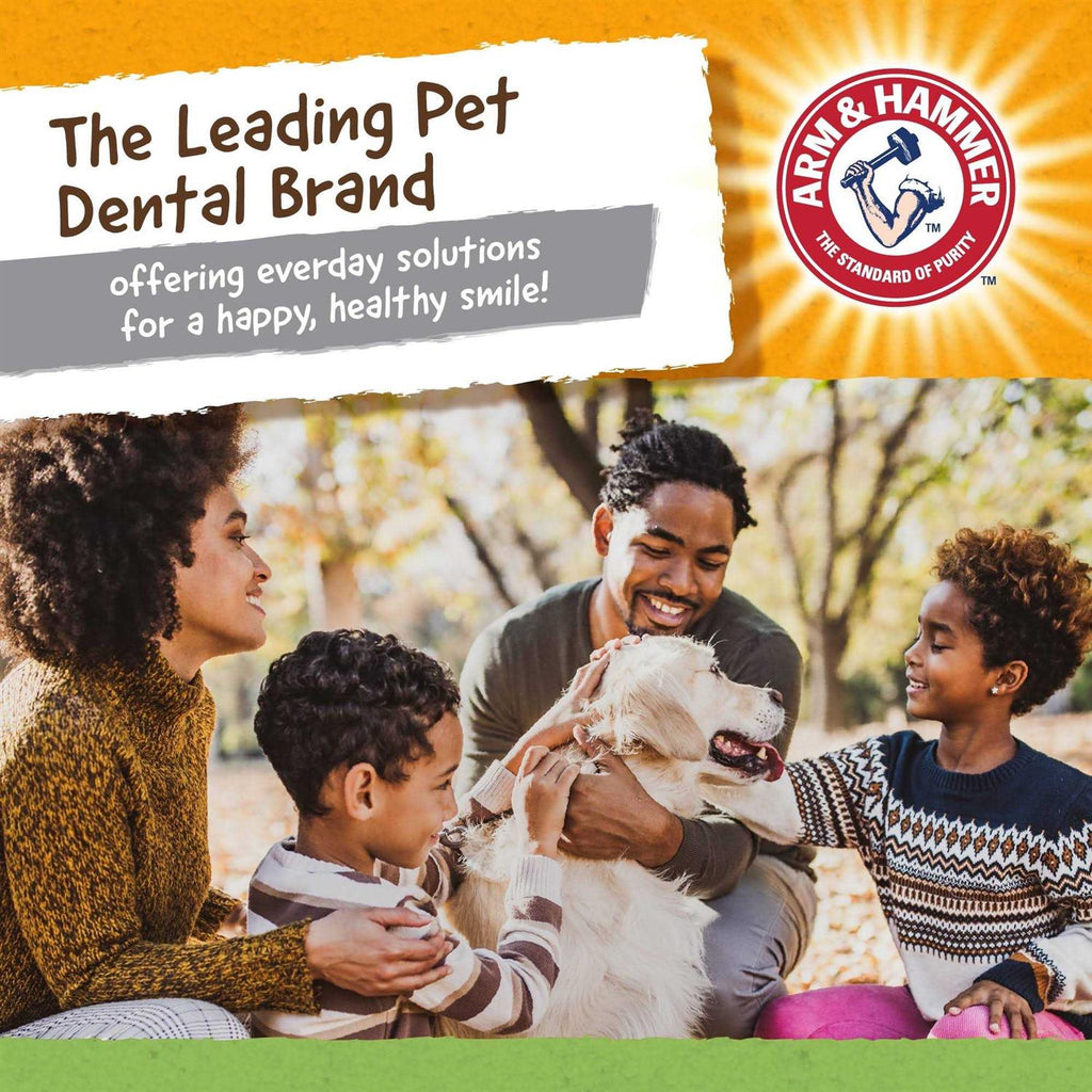 Dog Dental Toy B588