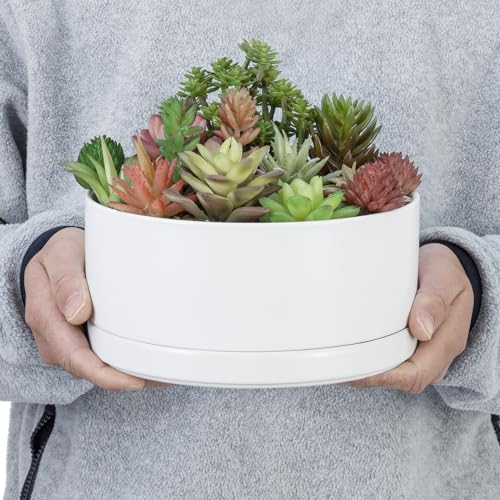 White Ceramic 7 Inch Plant Pot with Drainage Hole and Removable Tray S279058