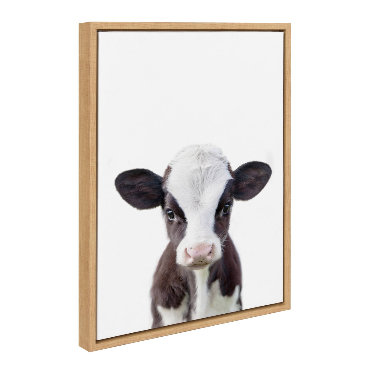 Framed Canvas P520