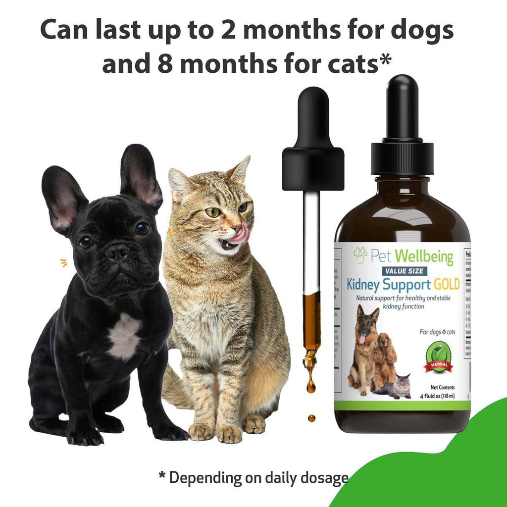 Kidney Support Gold for Dogs S22025