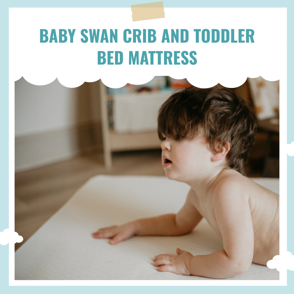 Foam Crib & Toddler Mattress S246857