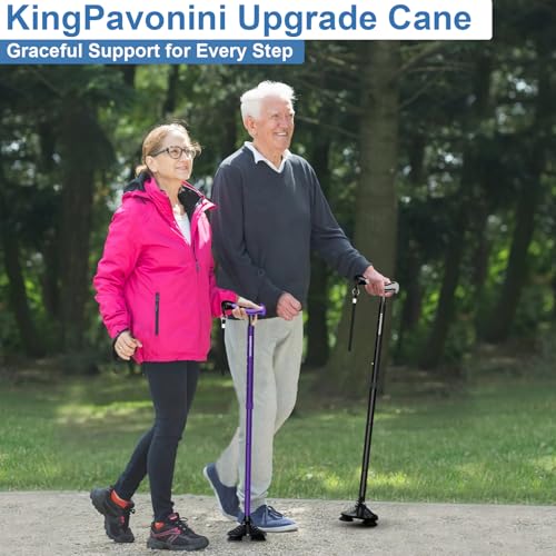 Foldable Adjustable Lightweight Walking Cane with Travel Bag D72174