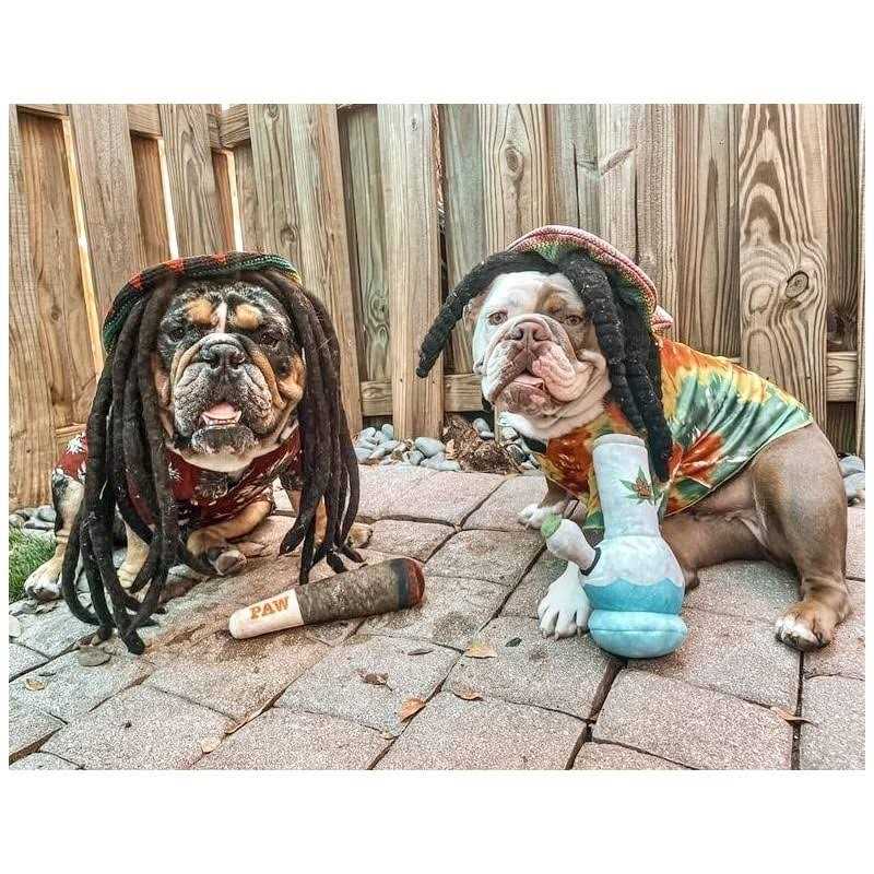 Plush Squeaky Dog Toys B92249