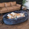 Giant Dog Beds for Humans N413