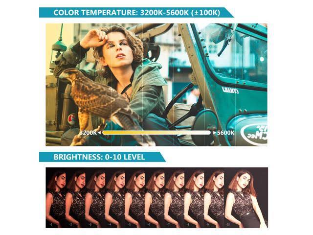 LED Video Light Stick with Barndoor and Carry Bag S453696