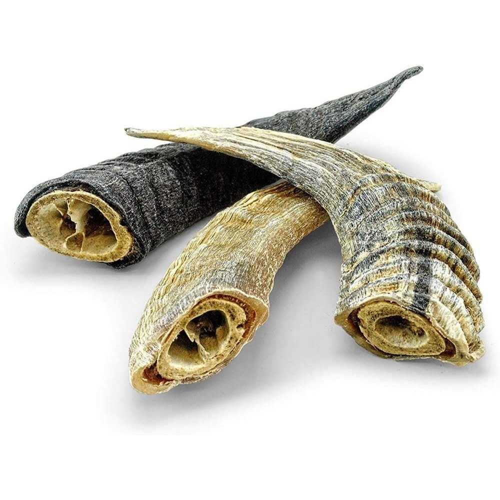 Small Lamb Horn with Marrow Dog Chew G589673