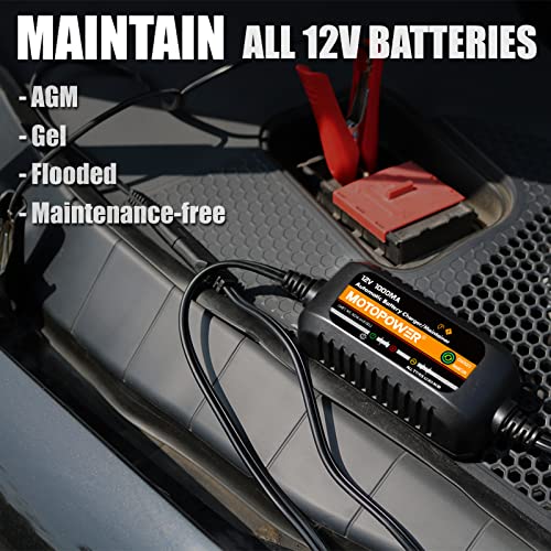 12V 1000mA Automatic Battery Charger T876