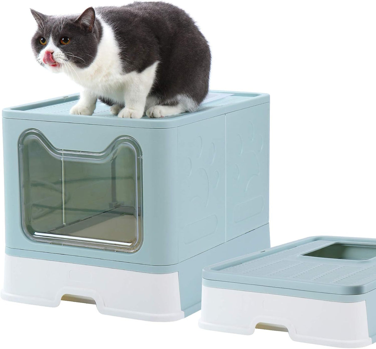 Enclosed Litter Box Large with Lid P349066