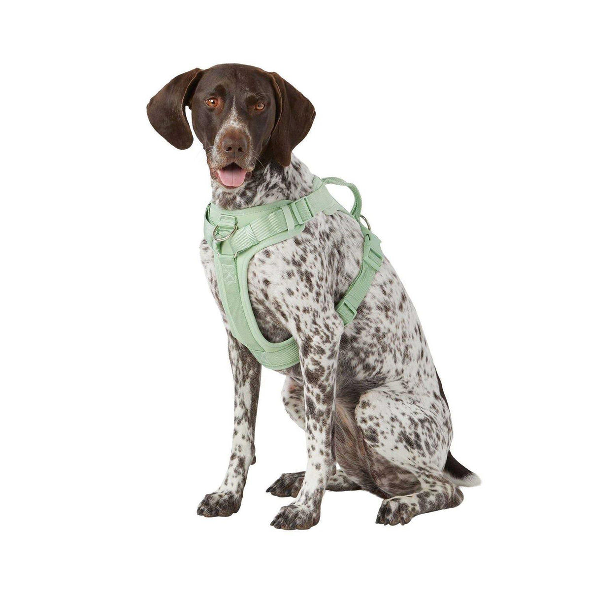 Adjustable Dog Harness L15097