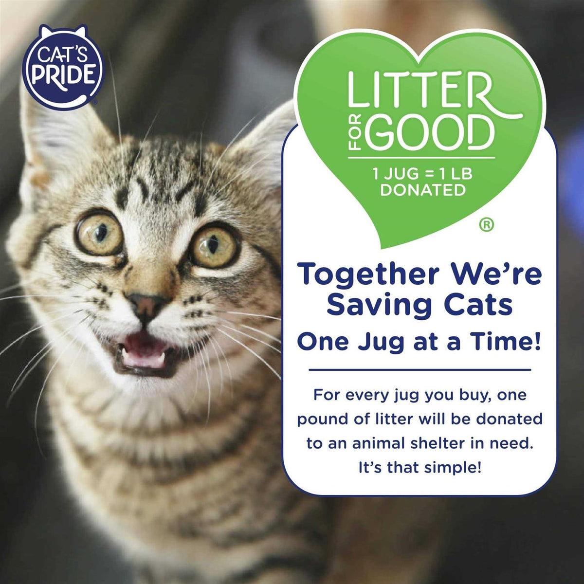 Multi-Cat Clumping Litter L3308