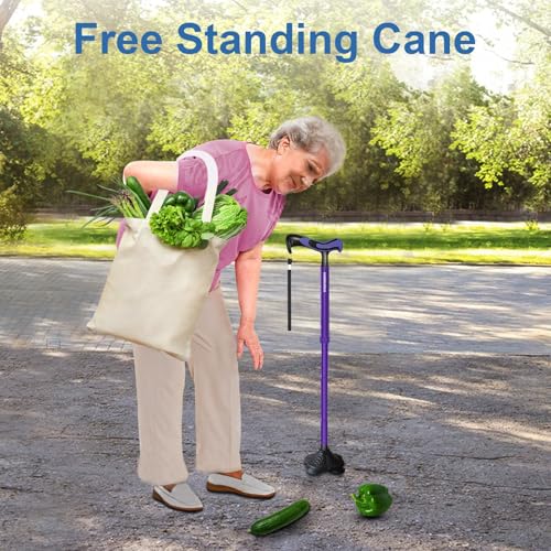 Foldable Adjustable Lightweight Walking Cane with Travel Bag D72174