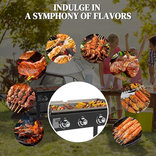 2 Burner Portable Flat Top Gas Grill Q574