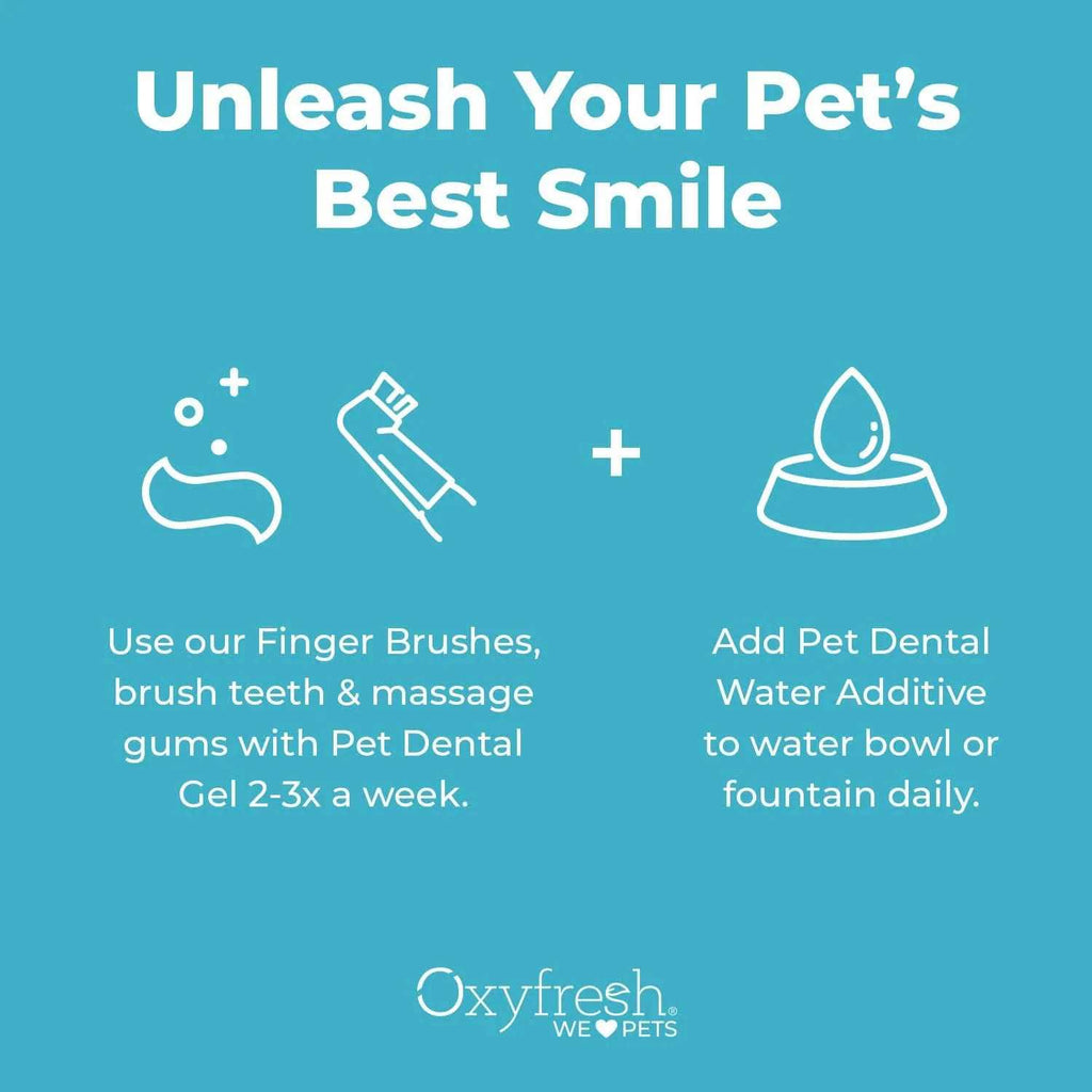 Pet Dental Kit F8082