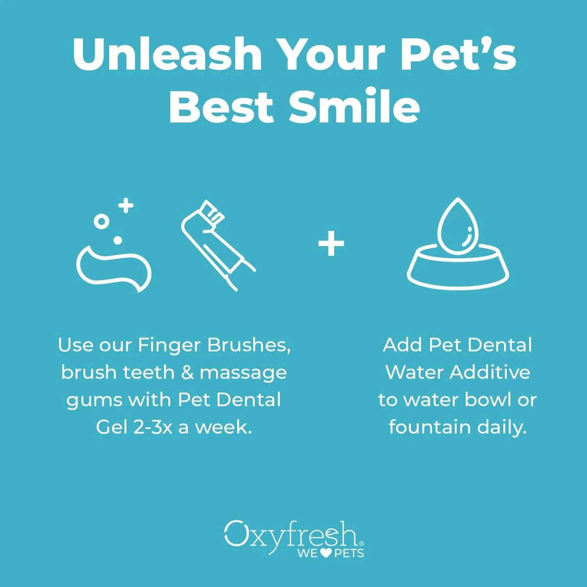 Pet Dental Kit F8082