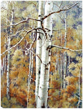 Canvas Art 24x32 P130
