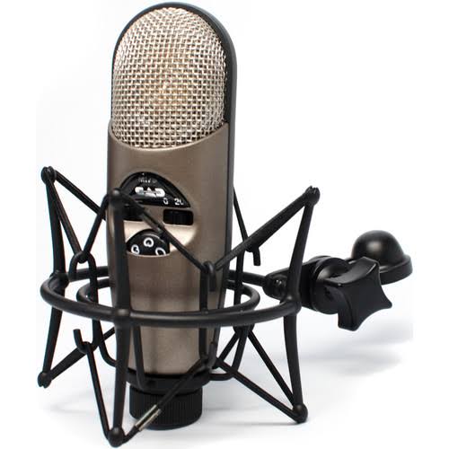 Variable-Pattern Condenser Mic with Shockmount + Pop Filter + XLR Cable N316