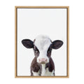 Framed Canvas P520