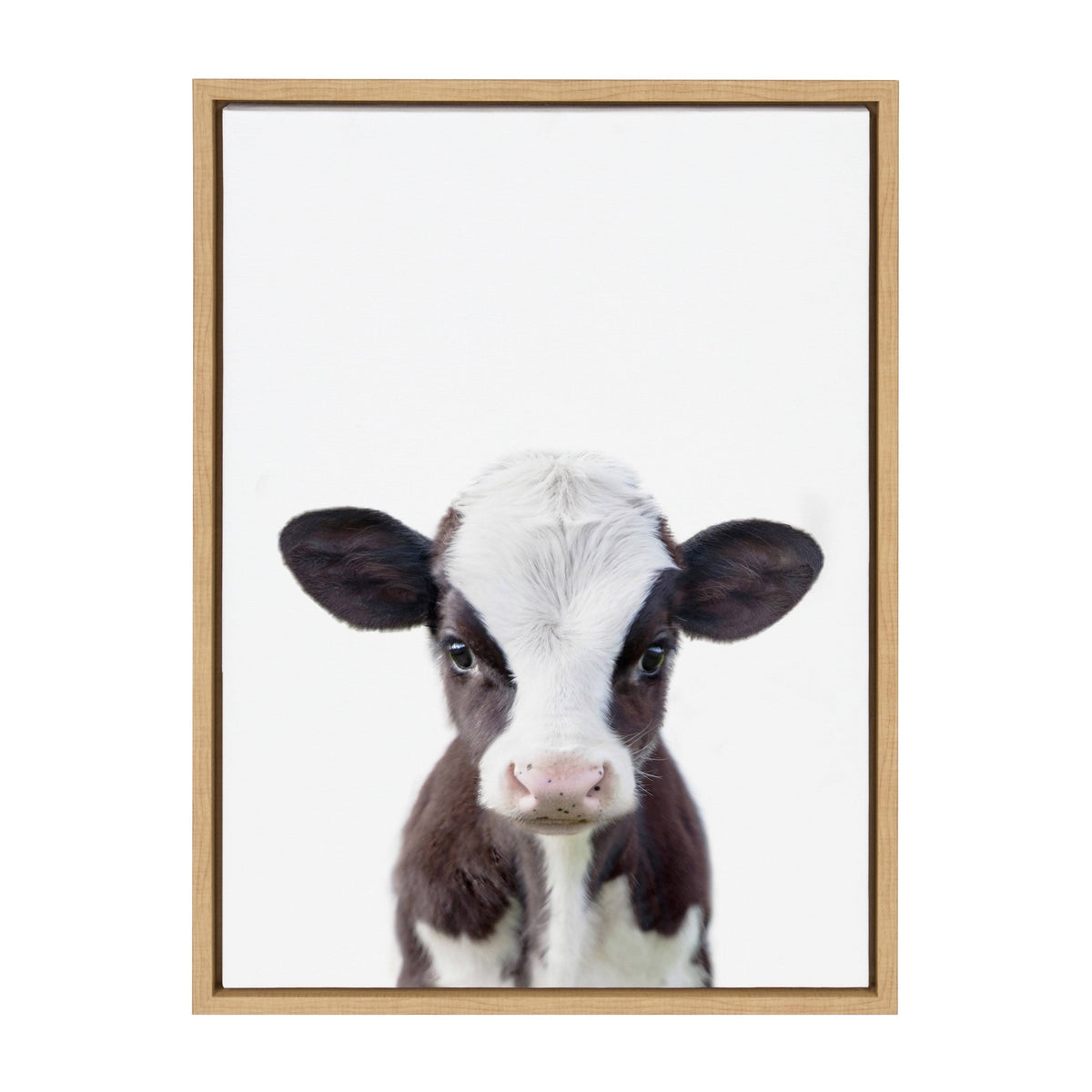 Framed Canvas P520