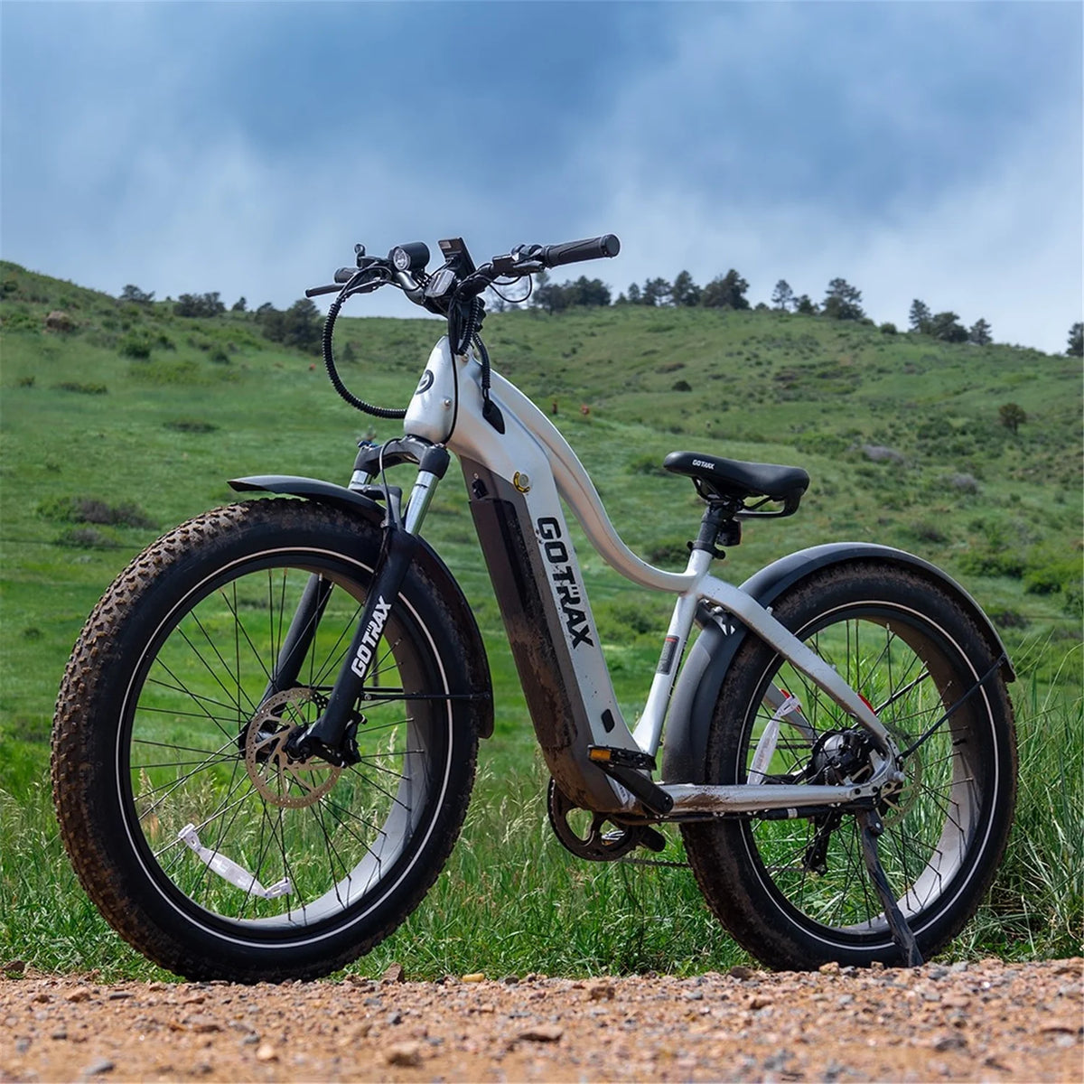 Silver 750W 48V 26" x 4" Fat Tire Electric Mountain Bike H790