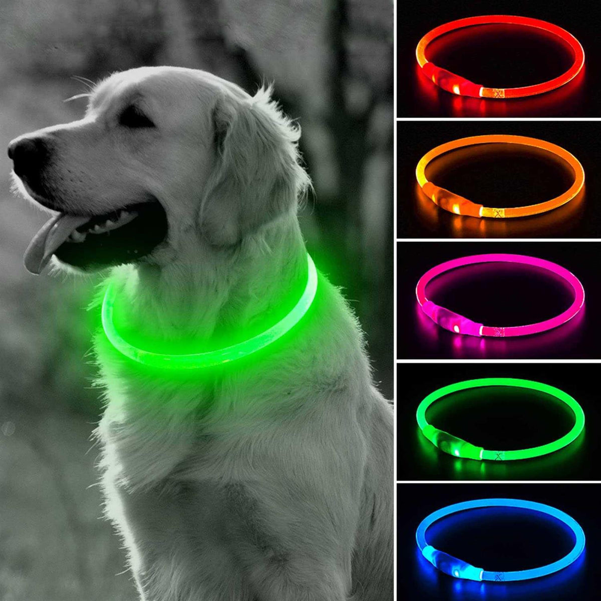 Light Rechargeable LED Dog Collar H39075
