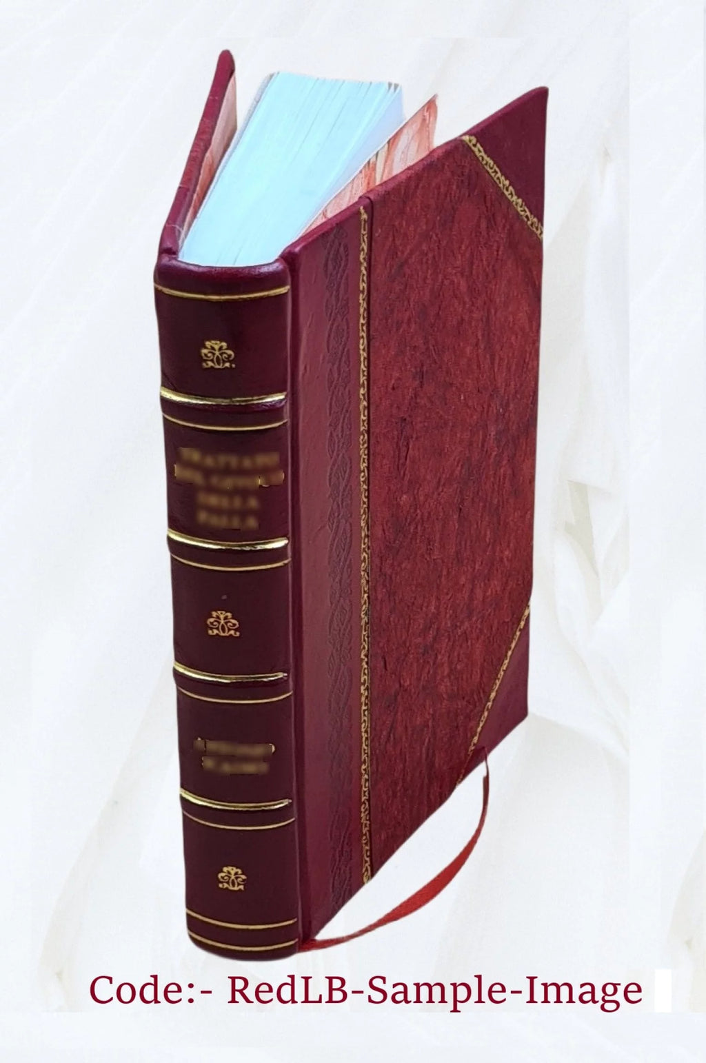 The American Plan of Government Leather Bound H823566