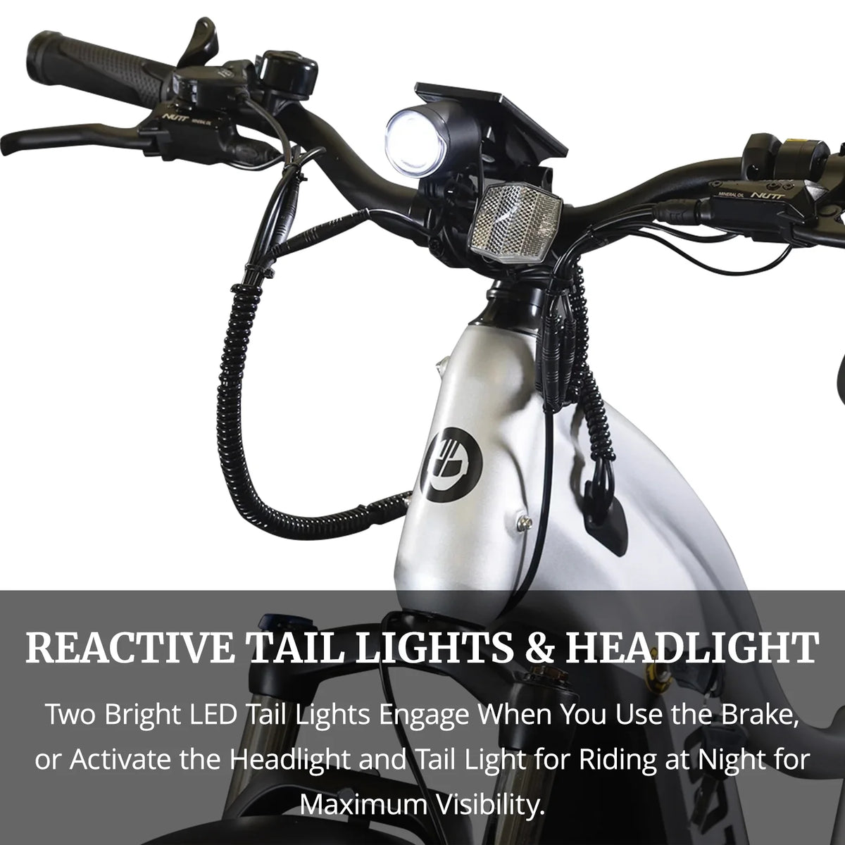 Silver 750W 48V 26" x 4" Fat Tire Electric Mountain Bike H790