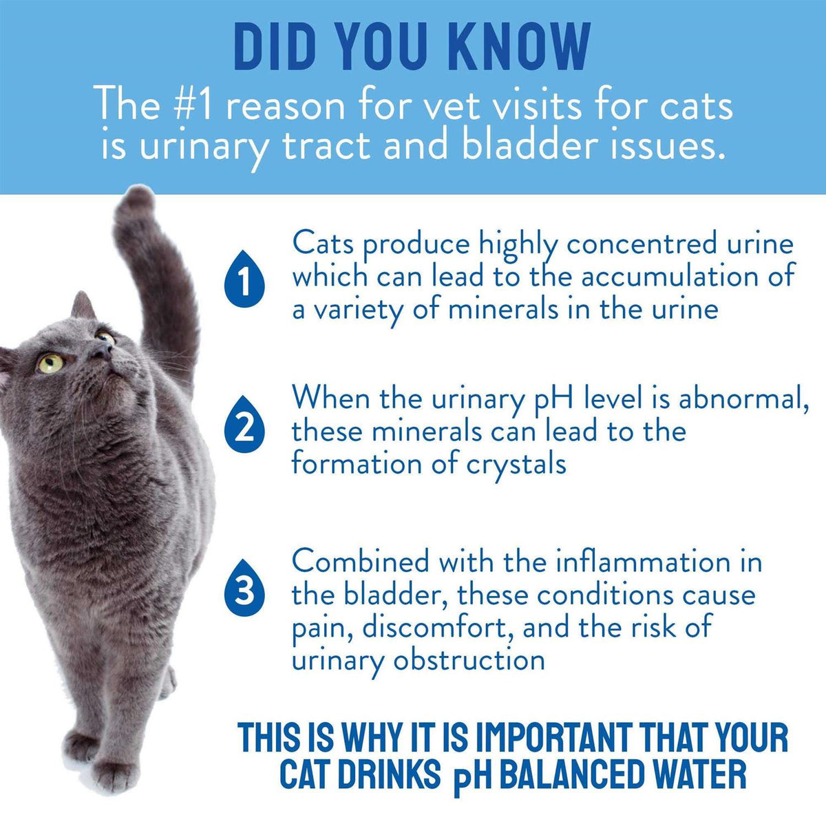 Mineral-Free Cat Water Q9158
