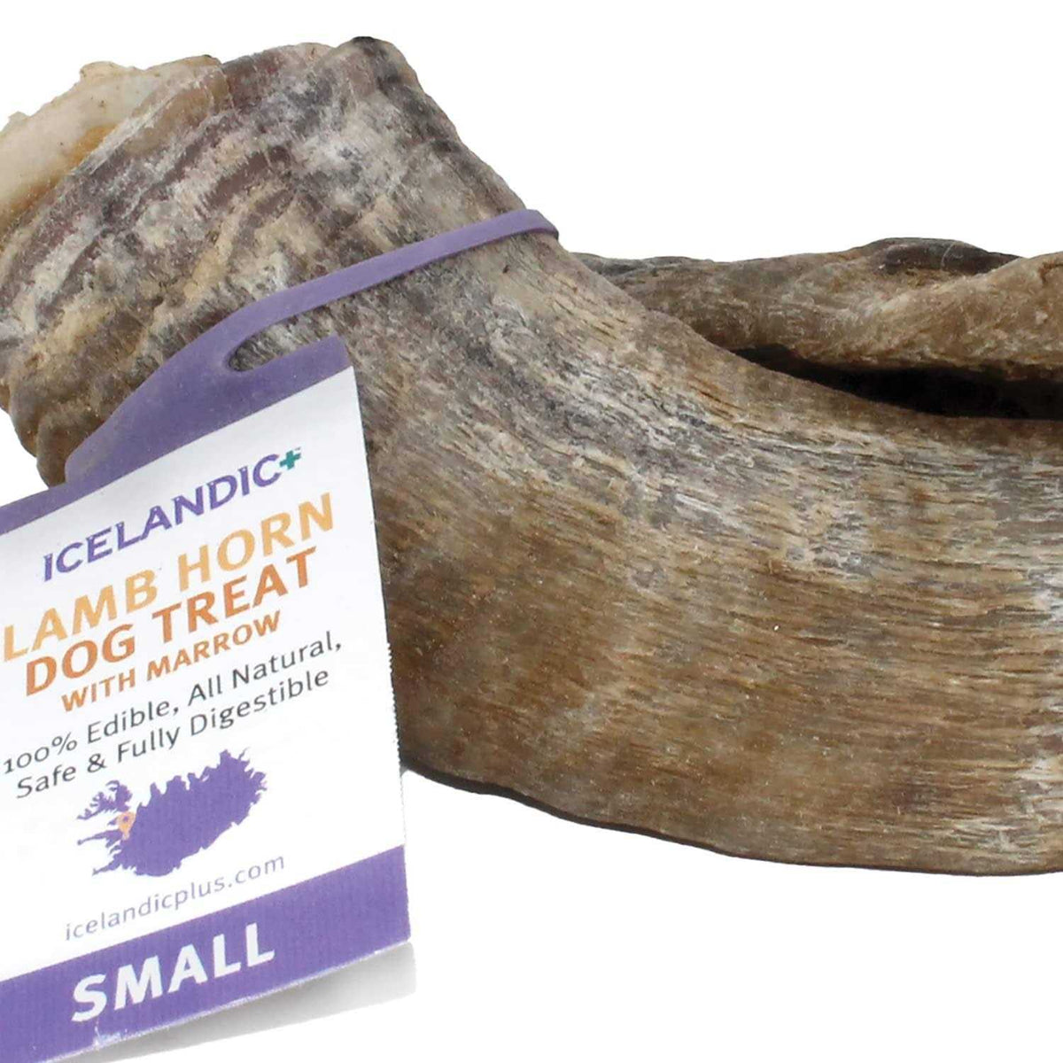 Small Lamb Horn with Marrow Dog Chew G589673