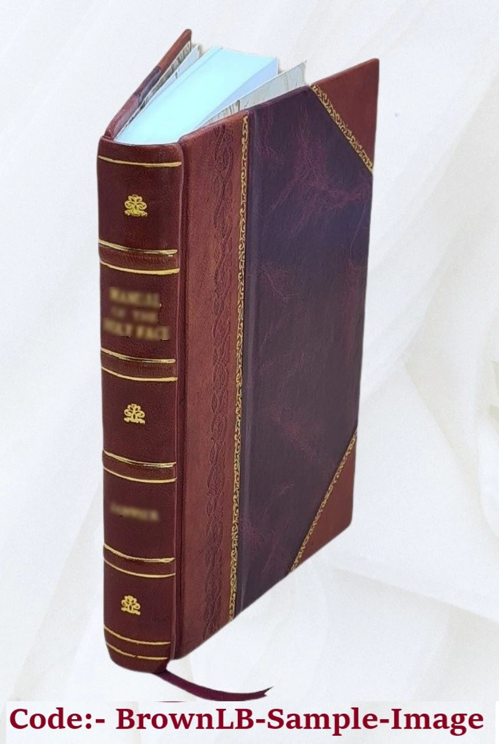 Vita Christi Cartuxano Leather Bound X959