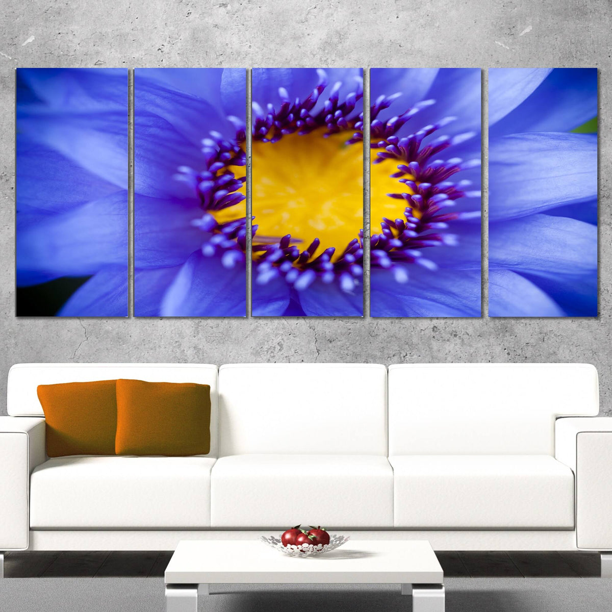 5 Piece Graphic Art on Wrapped Canvas Set S164