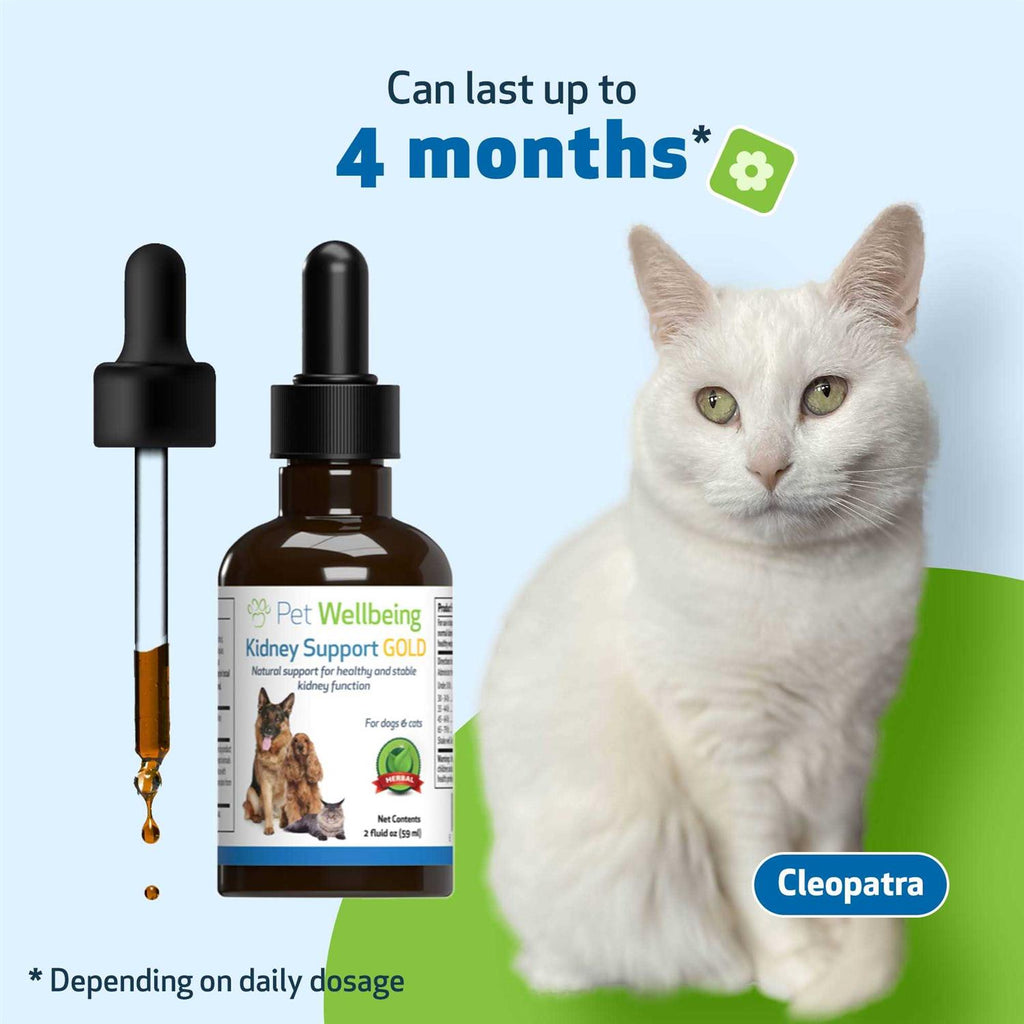 Kidney Support Gold for Dogs S22025
