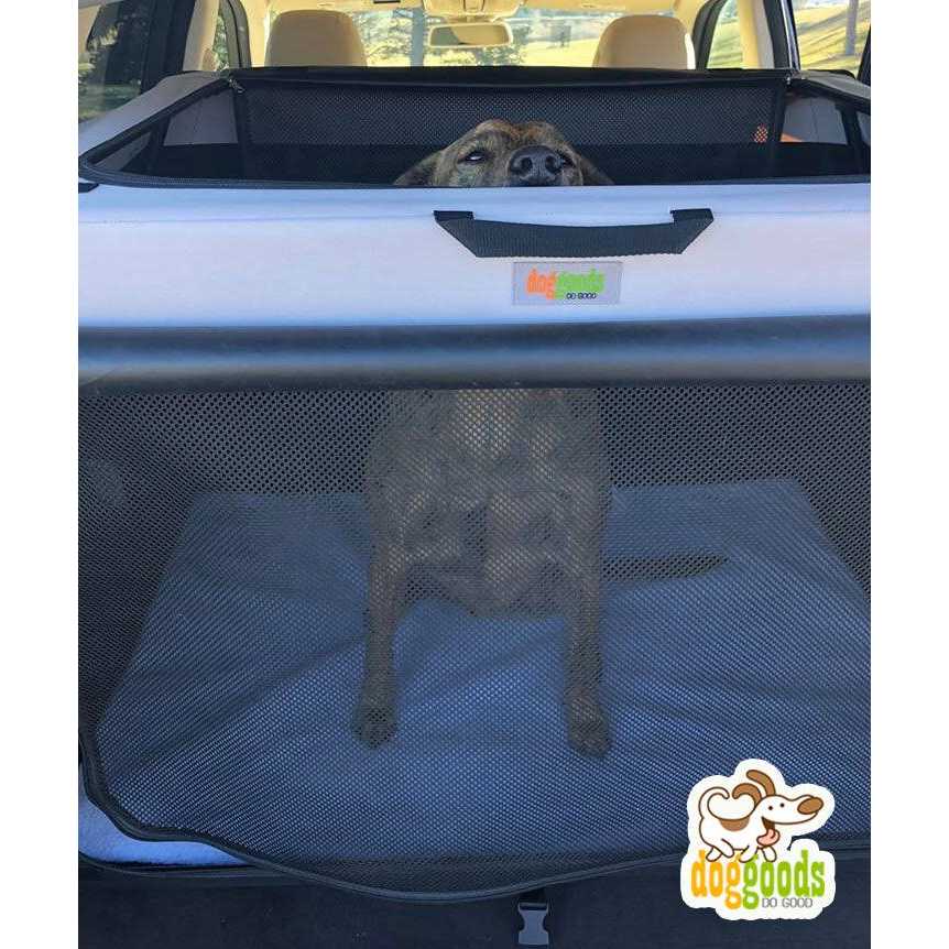 Foldable Travel Dog Crate L116956