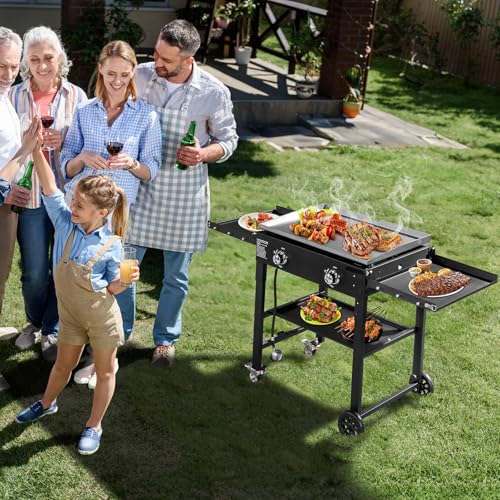 2 Burner Portable Flat Top Gas Grill Q574