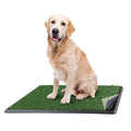 Artificial Grass Dog Potty Pad with Tray V72410