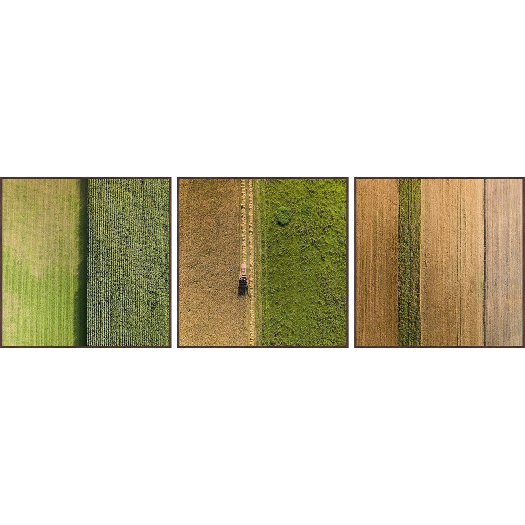 Green Triptych F868