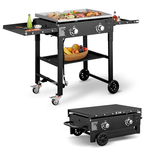 2 Burner Portable Flat Top Gas Grill Q574