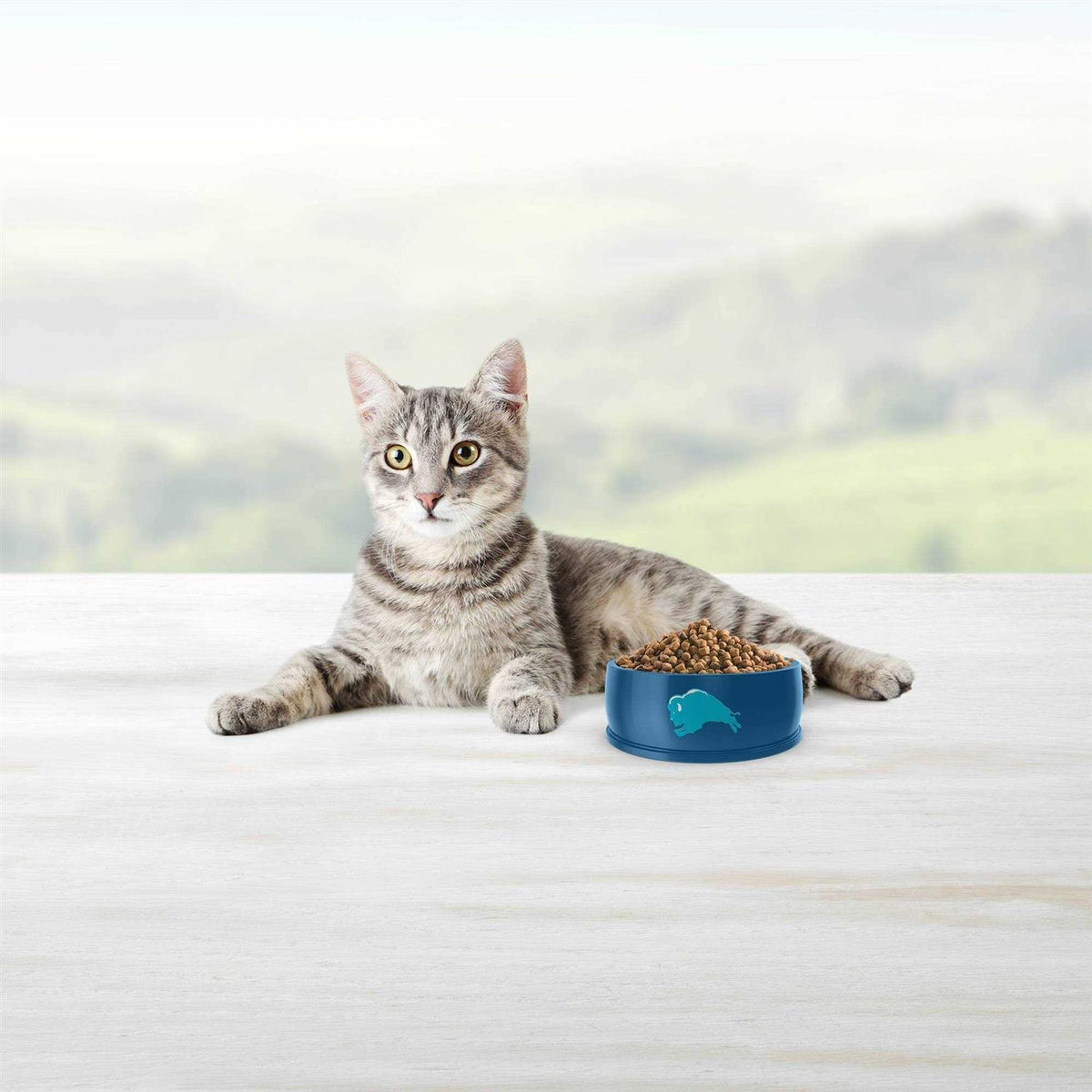 Blue Indoor Hairball Control Dry Cat Food D571