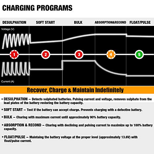 12V 1000mA Automatic Battery Charger T876