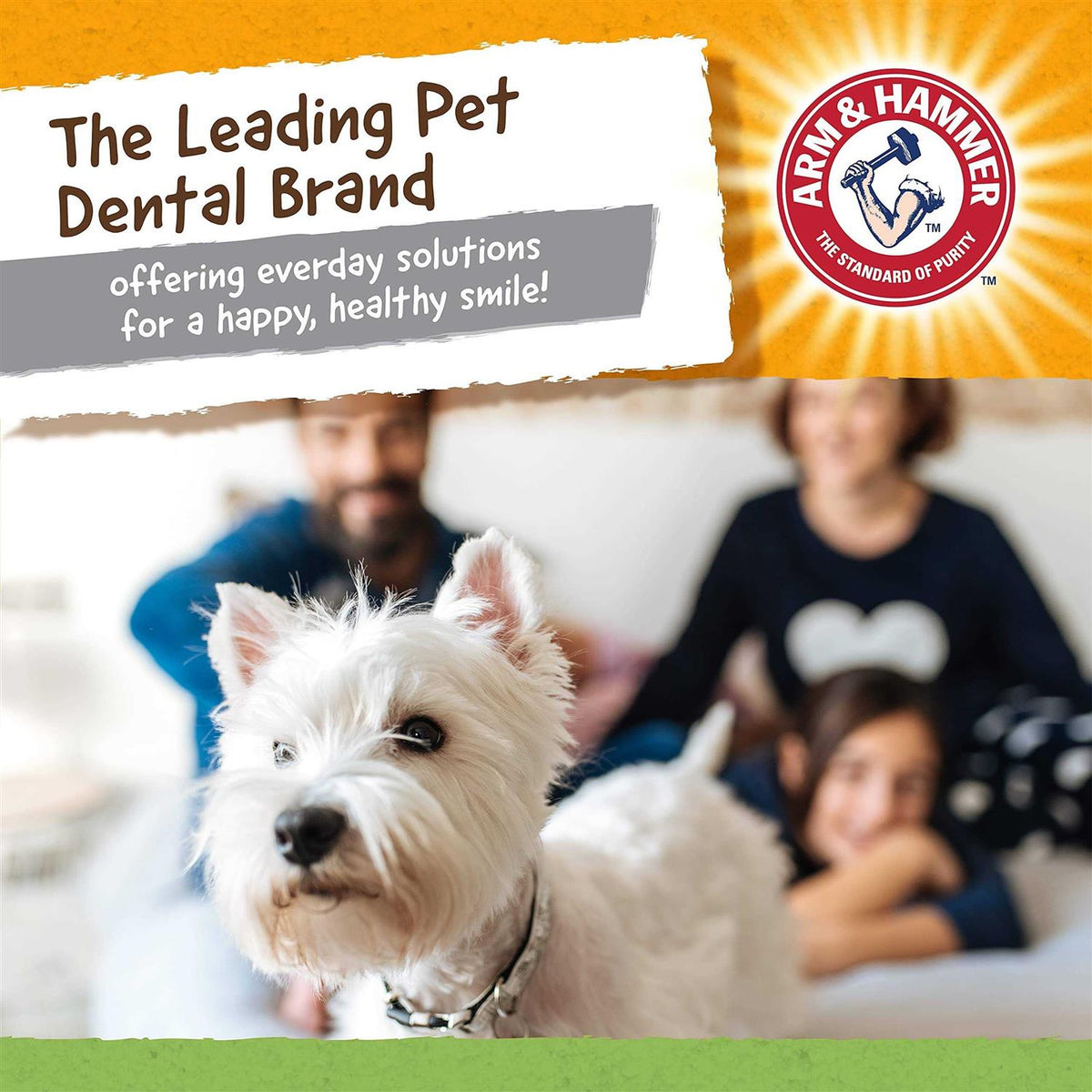 Dog Dental Toy B588
