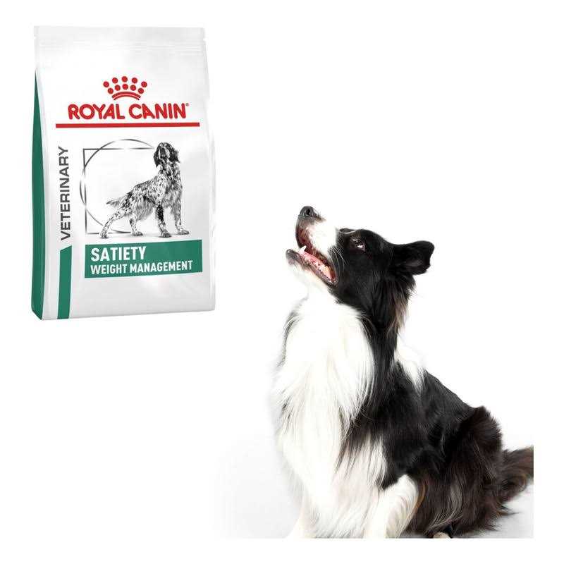Satiety Support Dry Dog Food P6348