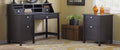 Computer Desk with File Cabinet F8178