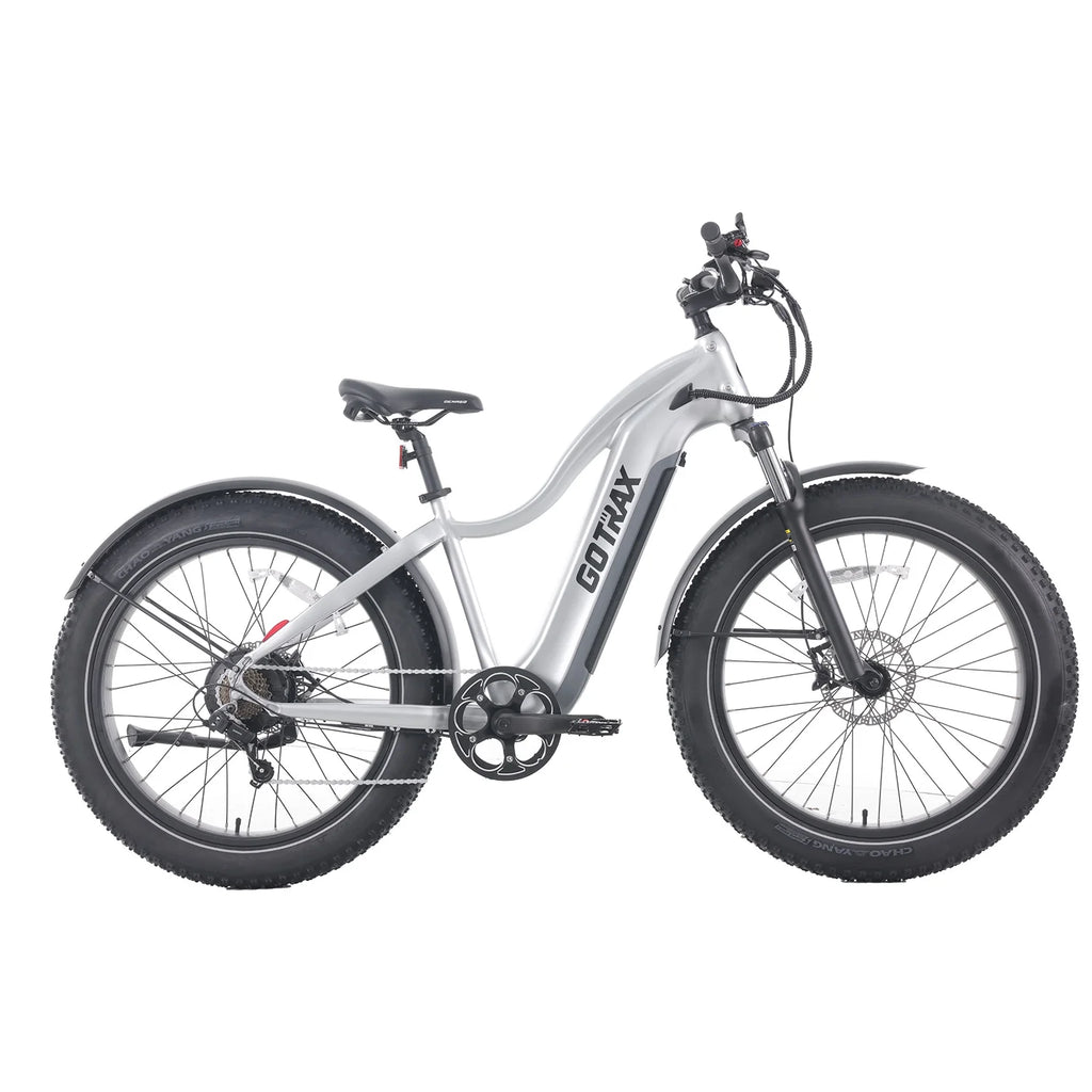 Silver 750W 48V 26" x 4" Fat Tire Electric Mountain Bike H790