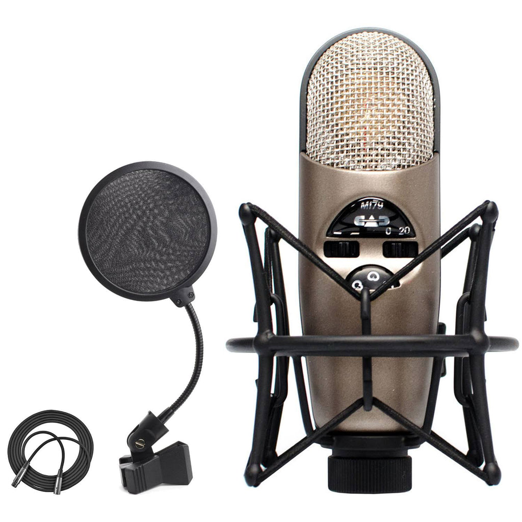 Variable-Pattern Condenser Mic with Shockmount + Pop Filter + XLR Cable N316