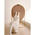 Cat Scratching Post Cat Scratcher T473