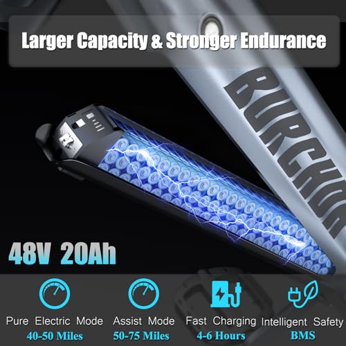 26''x4.0 Inch Fat Tire Electric Bike with 48V 30Ah Battery M710