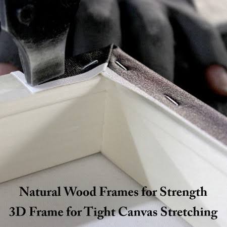 Canvas O88425
