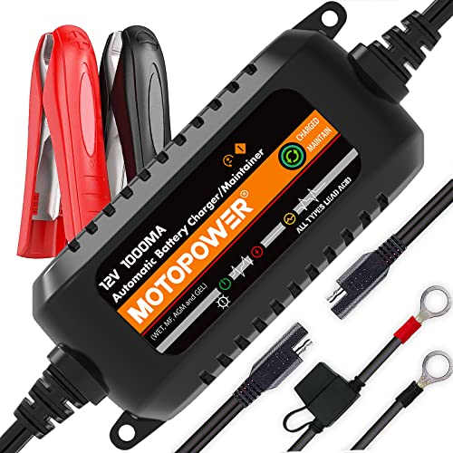 12V 1000mA Automatic Battery Charger T876